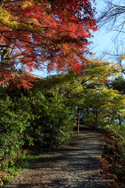 登城路｜高解像度画像サイズ：5792 x 8688 pixels｜写真番号：5DSA2265｜撮影：Canon EOS 5DS