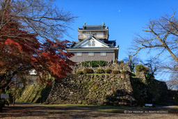 越前大野城の紅葉・本丸から望む天守｜高解像度画像サイズ：8688 x 5792 pixels｜写真番号：5DSA2334｜撮影：Canon EOS 5DS