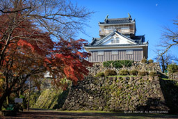 越前大野城の紅葉・本丸から望む天守｜高解像度画像サイズ：8474 x 5649 pixels｜写真番号：5DSA2347｜撮影：Canon EOS 5DS