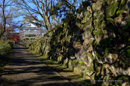 二の丸石垣と登城路｜高解像度画像サイズ：8688 x 5792 pixels｜写真番号：5DSA2348｜撮影：Canon EOS 5DS