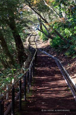 百間坂｜高解像度画像サイズ：5792 x 8688 pixels｜写真番号：5DSA2361｜撮影：Canon EOS 5DS