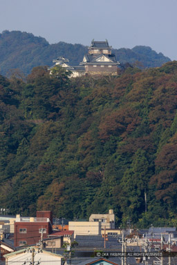 遠景｜高解像度画像サイズ：5401 x 8102 pixels｜写真番号：5DSA2651｜撮影：Canon EOS 5DS