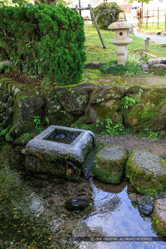 朝倉義景墓所付近の清水
