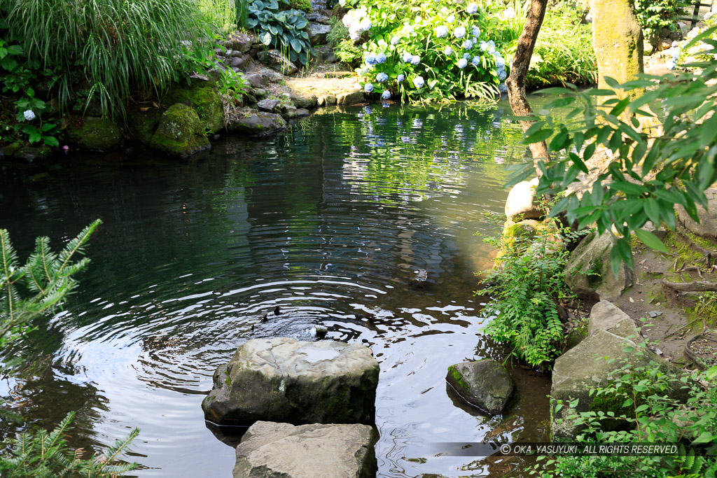 お馬屋池・清水