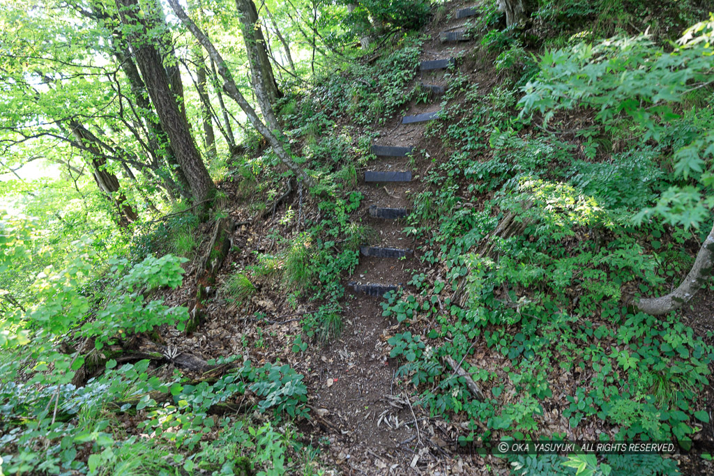 戌山城堀切