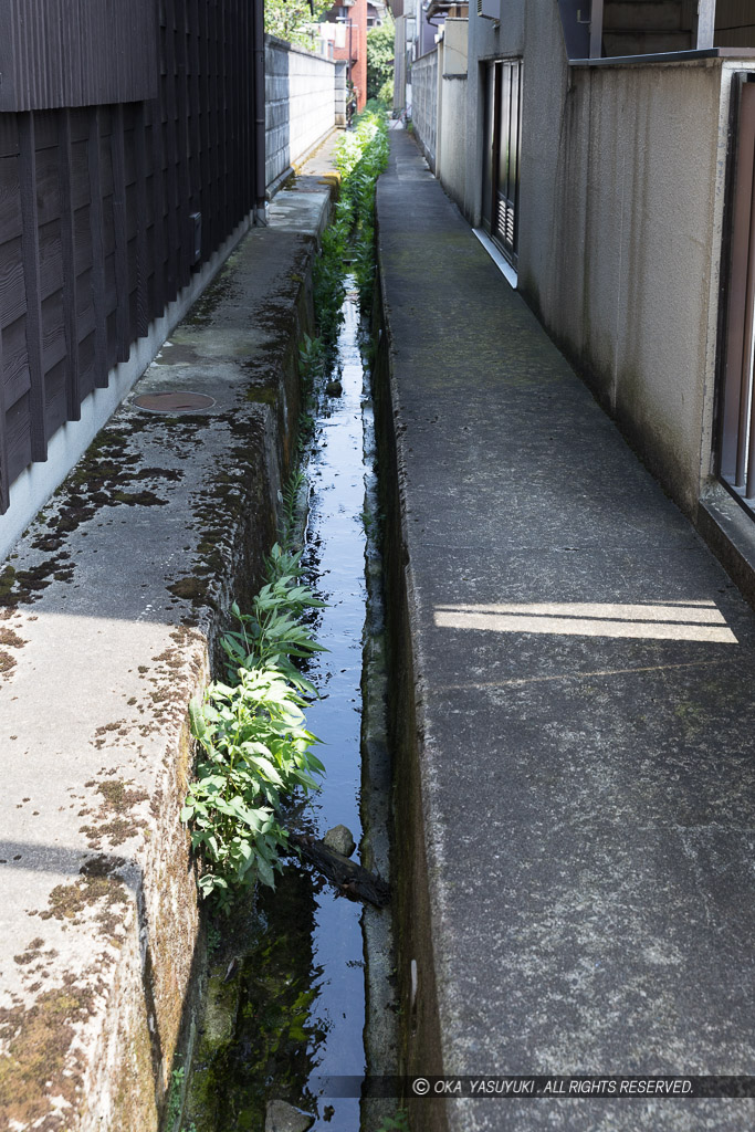 背割下水の名残