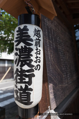 ｜高解像度画像サイズ：3884 x 5827 pixels｜写真番号：5D4A8867｜撮影：Canon EOS 5D Mark IV