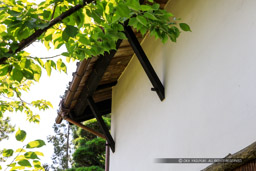 武家屋敷・旧内山家|高解像度画像サイズ:5525 x 3683 pixels|写真番号:5D4A8959|撮影:Canon EOS 5D Mark IV