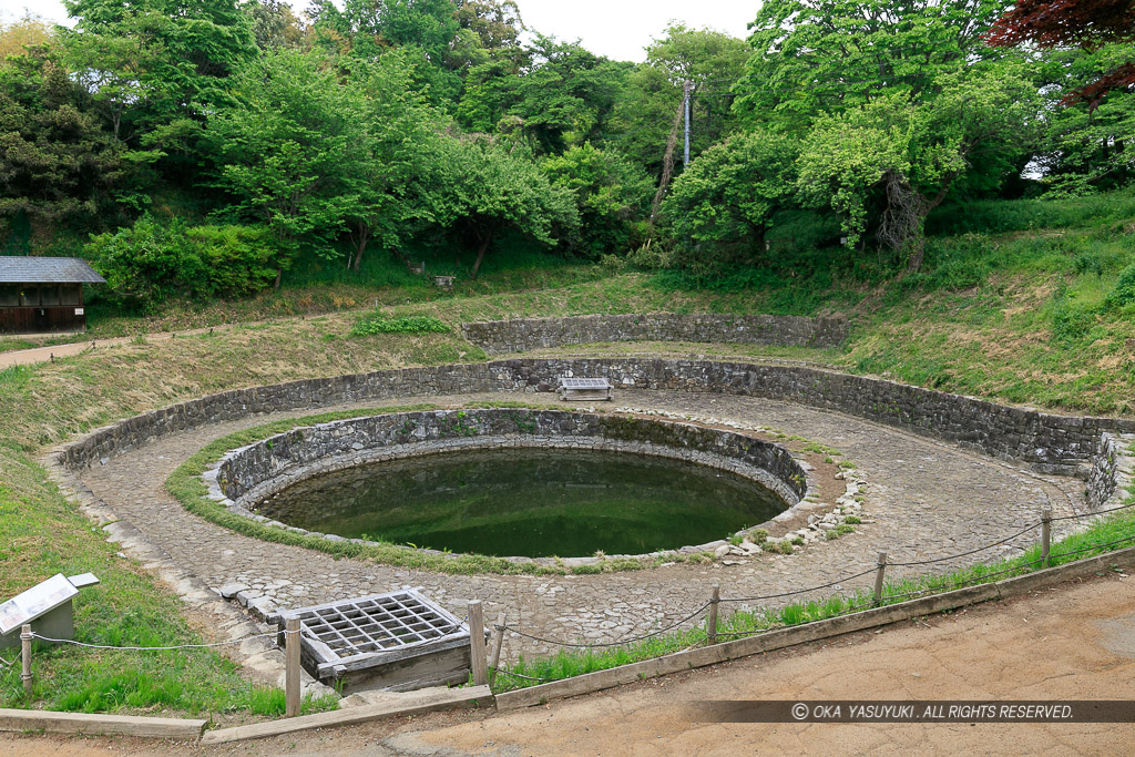 日ノ池