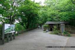 本城・入口｜高解像度画像サイズ：6480 x 4320 pixels｜写真番号：5DSA5513｜撮影：Canon EOS 5DS