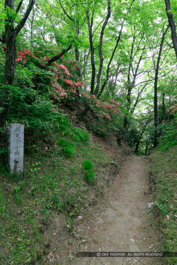 西矢倉台西堀切｜高解像度画像サイズ：4320 x 6480 pixels｜写真番号：5DSA5533｜撮影：Canon EOS 5DS