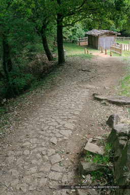 馬場から馬場曲輪への通路｜高解像度画像サイズ：4125 x 6188 pixels｜写真番号：5DSA5590｜撮影：Canon EOS 5DS