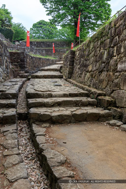 大手虎口｜高解像度画像サイズ：5513 x 8269 pixels｜写真番号：5DSA5675｜撮影：Canon EOS 5DS