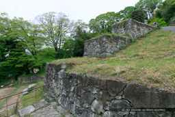 壇状土塁石垣｜高解像度画像サイズ：6480 x 4320 pixels｜写真番号：5DSA5698｜撮影：Canon EOS 5DS