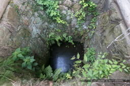 大手虎口南上段曲輪・井戸跡|高解像度画像サイズ:6480 x 4320 pixels|写真番号:5DSA5700|撮影:Canon EOS 5DS