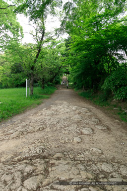 御台所曲輪跡｜高解像度画像サイズ：3590 x 5385 pixels｜写真番号：5DSA5769｜撮影：Canon EOS 5DS