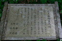 天主曲輪裏馬場・構造歴史｜高解像度画像サイズ：5788 x 3859 pixels｜写真番号：5DSA5796｜撮影：Canon EOS 5DS