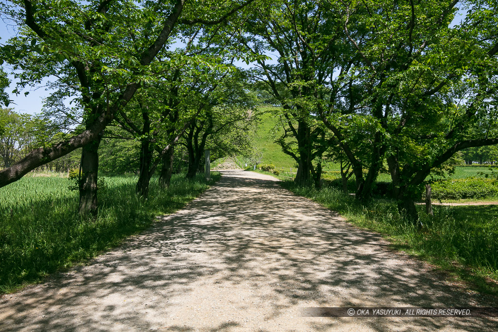 丸墓山古墳に残る石田堤の一部