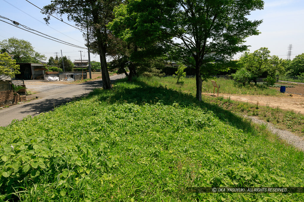 石田堤・水攻め堤防跡