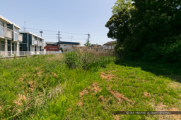 忍諏訪神社裏の堀跡｜高解像度画像サイズ：6480 x 4320 pixels｜写真番号：5DSA6882｜撮影：Canon EOS 5DS