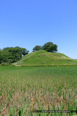 丸墓山古墳・石田三成本陣｜高解像度画像サイズ：4320 x 6480 pixels｜写真番号：5DSA6918｜撮影：Canon EOS 5DS