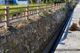 相良城石垣（仙台河岸） | 高解像度画像サイズ：7556 x 5040 pixels | 写真番号：6F1A5556 | 撮影：Canon EOS R5m2