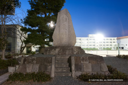 相良城ライトアップ | 高解像度画像サイズ：4992 x 3328 pixels | 写真番号：VJ7Z2889 | 撮影：Canon EOS-1Ds Mark II