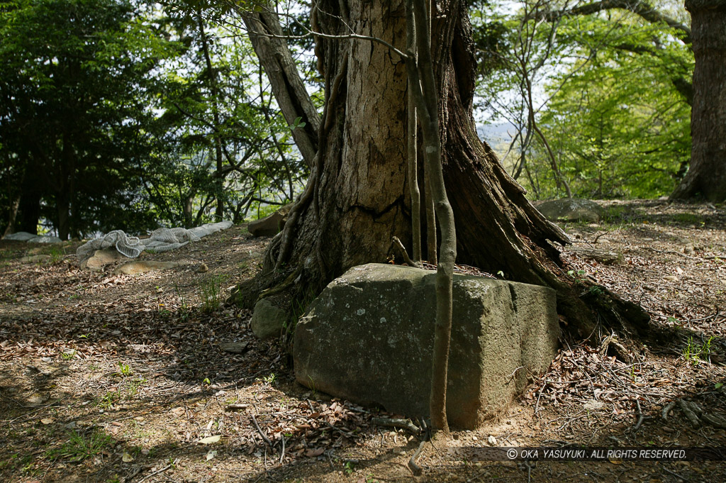 仙台城巽櫓跡に残る石