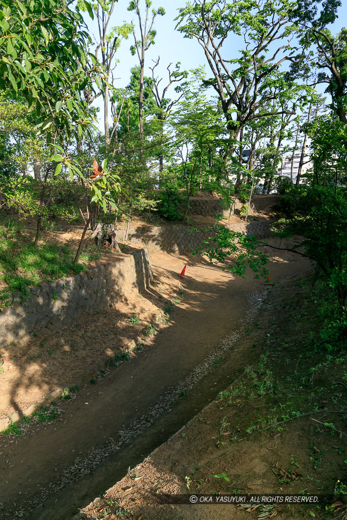 世田谷城の堀と土塁