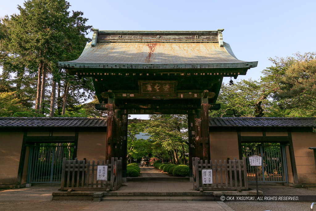 豪徳寺山門