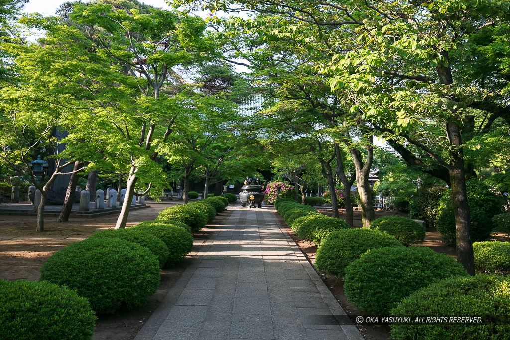 豪徳寺境内・吉良氏の館跡