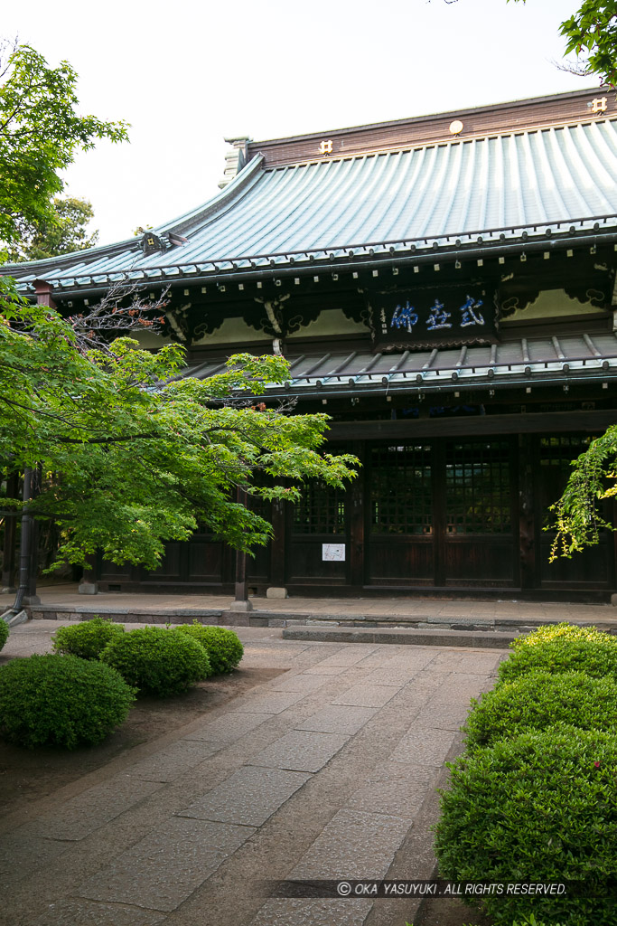 豪徳寺境内・吉良氏の館跡