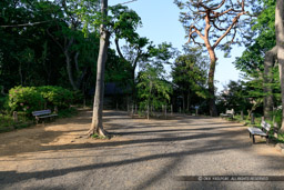 世田谷城の郭跡｜高解像度画像サイズ：6480 x 4320 pixels｜写真番号：5DSA7142｜撮影：Canon EOS 5DS