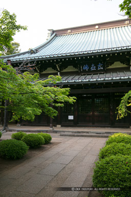 豪徳寺境内・吉良氏の館跡｜高解像度画像サイズ：4320 x 6480 pixels｜写真番号：5DSA7169｜撮影：Canon EOS 5DS