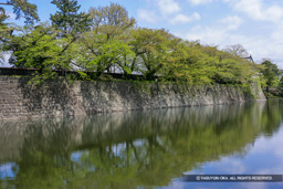 本丸石垣 | 高解像度画像サイズ:4992 x 3328 pixels | 写真番号:VJ7Z3706 | 撮影:Canon EOS-1Ds Mark II