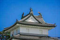 三匹の鯱・新発田城三階櫓 | 高解像度画像サイズ：4747 x 3165 pixels | 写真番号：VJ7Z3714 | 撮影：Canon EOS-1Ds Mark II
