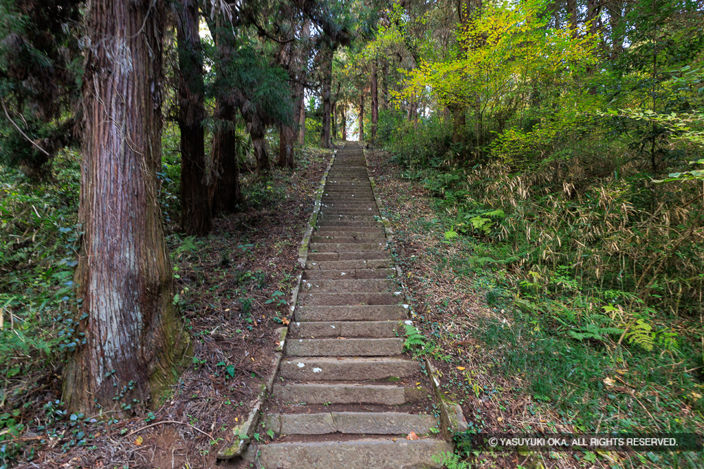 新府城登山道