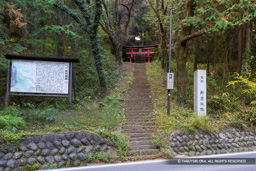 新府城登山口 | 高解像度画像サイズ：7543 x 5031 pixels | 写真番号：6F1A5125 | 撮影：Canon EOS R5m2