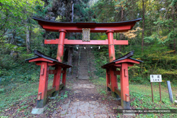 藤武神社鳥居 | 高解像度画像サイズ：8192 x 5464 pixels | 写真番号：6F1A5128 | 撮影：Canon EOS R5m2