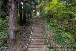 新府城登山道 | 高解像度画像サイズ：8192 x 5464 pixels | 写真番号：6F1A5129 | 撮影：Canon EOS R5m2