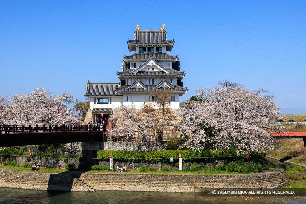 墨俣一夜城の桜