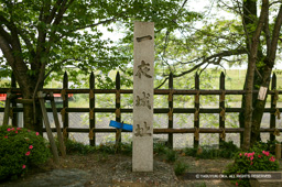 一夜城址石碑 | 高解像度画像サイズ：4064 x 2704 pixels | 写真番号：100-3910S53B | 撮影：Canon EOS-1DS