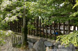 藤吉郎の馬柵 | 高解像度画像サイズ：3687 x 2453 pixels | 写真番号：100-3918S53B | 撮影：Canon EOS-1DS