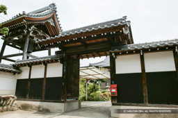 移築脇本陣門・墨俣光流山本正寺 | 高解像度画像サイズ：3845 x 2558 pixels | 写真番号：100-4030S53B | 撮影：Canon EOS-1DS
