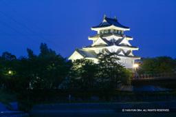 墨俣一夜城ライトアップ | 高解像度画像サイズ：4064 x 2704 pixels | 写真番号：100-4411S53B | 撮影：Canon EOS-1DS