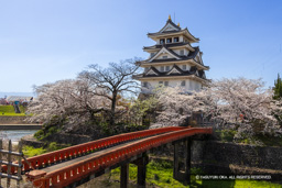 墨俣一夜城の桜 | 高解像度画像サイズ：8044 x 5365 pixels | 写真番号：344A8834 | 撮影：Canon EOS R5