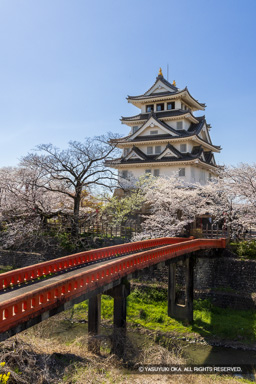 墨俣一夜城の桜 | 高解像度画像サイズ：5385 x 8074 pixels | 写真番号：344A8835 | 撮影：Canon EOS R5