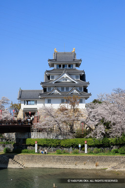 墨俣一夜城の桜 | 高解像度画像サイズ：5464 x 8192 pixels | 写真番号：344A8845 | 撮影：Canon EOS R5