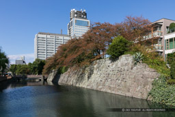 三の丸堀｜高解像度画像サイズ：3360 x 2240 pixels｜写真番号：5D4A1952｜撮影：Canon EOS 5D Mark IV