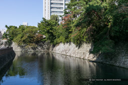 三の丸堀｜高解像度画像サイズ：3360 x 2240 pixels｜写真番号：5D4A1954｜撮影：Canon EOS 5D Mark IV